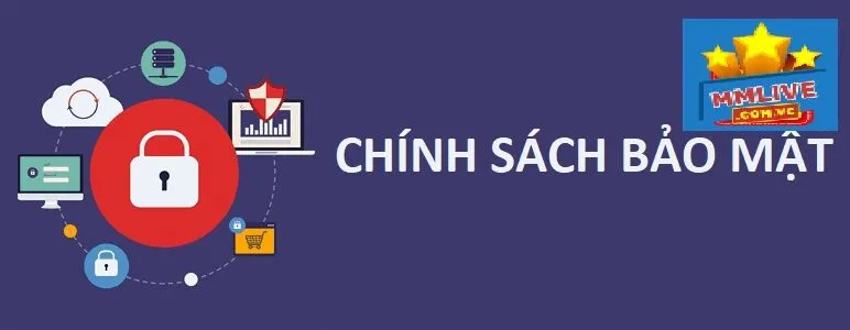 Nội Dung Chính Của Chính Sách MMLive