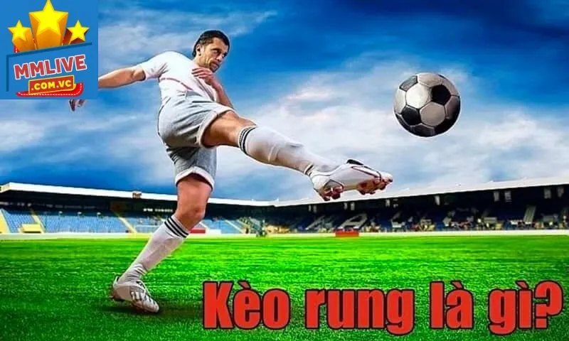 Kinh nghiệm bắt kèo rung hiệu quả