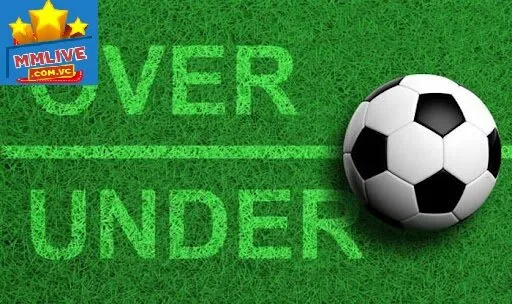 Hướng dẫn tính thắng thua tài xỉu 0.5/1