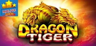 Những Lưu Ý Nên Biết Khi Áp Dụng Mẹo Chơi Rồng Hổ